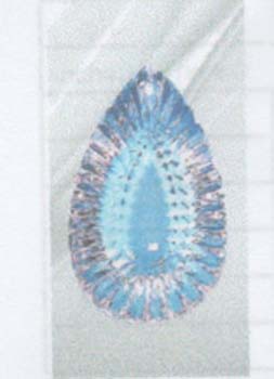 1201
