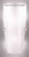 sm_bigeye.jpg (1443 byte)