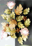 r1.jpg (16882 byte)