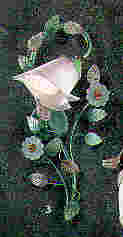 r102.jpg (3178 byte)