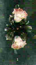 r32.jpg (2453 byte)