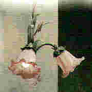 r35.jpg (2455 byte)