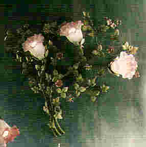 r36.jpg (5865 byte)
