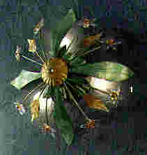 r43.jpg (3680 byte)
